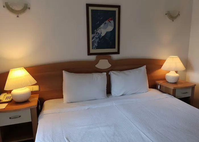 Efe Gocek Гёчек